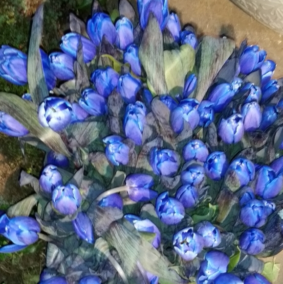 Hope - Picture 4 of 8